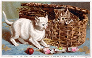 Two kittens with basket on a Christmas card