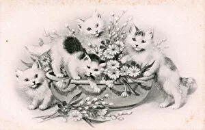 Kittens with a bowl of flowers on a postcard