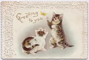 Cabbage Prints: Two kittens with butterfly on a greetings card