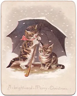 Two kittens on a Christmas card