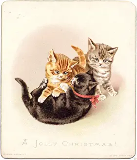 Three kittens on a Christmas card