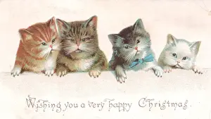 Four kittens on a Christmas card