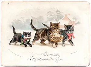 Three kittens on a Christmas card