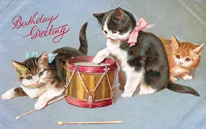 Kittens with a drum on a birthday postcard