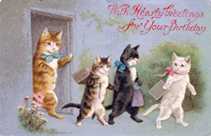 Kittens going to school on a birthday postcard Kittens going to school on a birthday postcard
