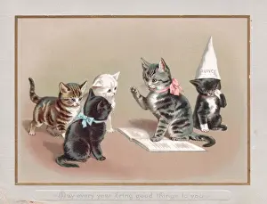 Five kittens on a greetings card