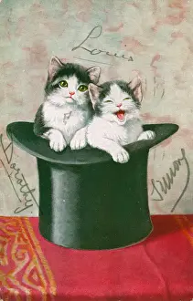 Two kittens in a top hat on a greetings postcard