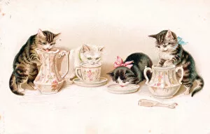 Kittens lapping milk on a greetings postcard