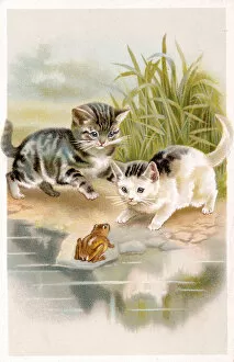 Frogs Collection: Two kittens meet a frog on a postcard