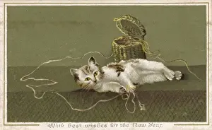 Kittens Play with String