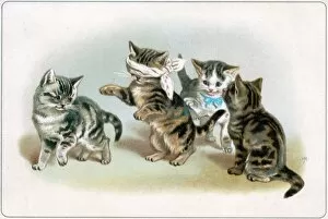 Four kittens playing blind mans bluff on a greetings card