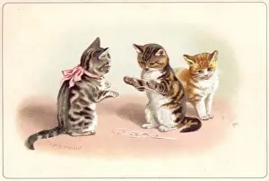 Three kittens playing cats cradle on a greetings card