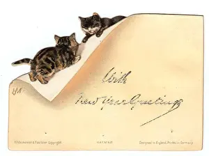 Playful Prints: Two kittens playing on an envelope on a New Year card