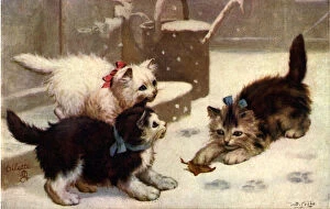 Pictures Now Gallery: Kittens Playing with Leaf in the Snow Date: 1910