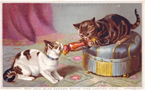 Two kittens pulling cracker on a Christmas card