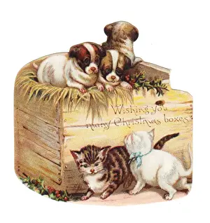 Kittens and puppies on a box-shaped Christmas card