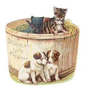 Tubs Prints: Kittens and puppies on a tub-shaped Christmas card