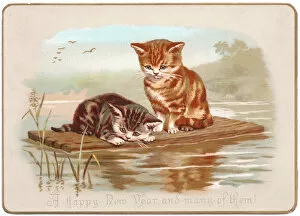 Raft Gallery: Two kittens on a raft on a New Year card