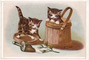 Two kittens with salt tub on a Christmas card
