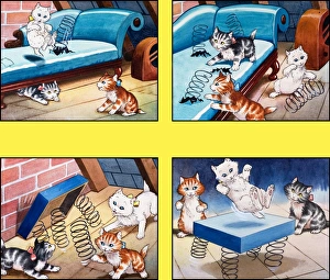 Images Dated 17th October 2006: The Kittens Trampoline