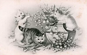 Kittens with a vase of flowers on a postcard