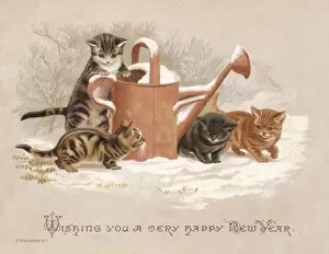 Watering Gallery: Four kittens with watering can on a New Year card