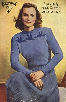 Bluebird Gallery: Knitting pattern cover, Womans Fashion Blue Bird Jumper