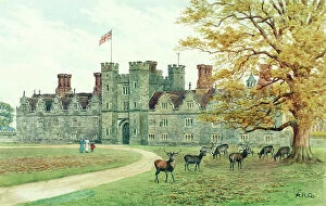 Deer Collection: Knole House, Sevenoaks, Kent