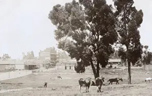 Knox Street, Germiston, Transvaal, South Africa