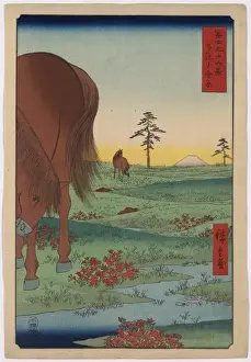 Kogane fields in Shimosa Province