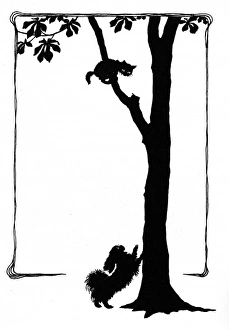 Images Dated 28th October 2011: Koko the dog frightens a kitten into a tree