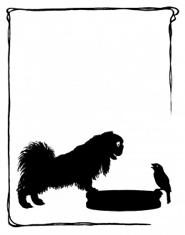 Images Dated 28th October 2011: Koko the Pekinese dog with Jack Sparrow