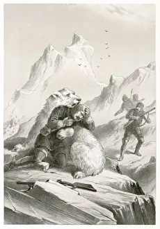 Helpless Prints: Koldewey / Bear Attack