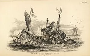 Mollusca Collection: Kraken attacking a fishing boat off the coast of Angola