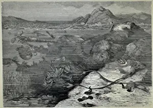 Anton Prints: Kuchelbad near Prague during the Upper Silurian