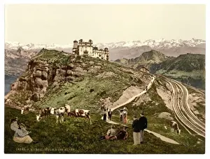Kulm Prints: Kulm, view of the Alps, Rigi, Switzerland