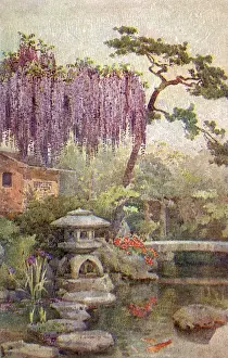 Blossoms Prints: Kyoto, Japan - Wisteria growing in a Japanese Garden