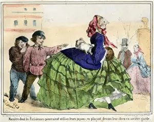 La Crinolonomanie by Charles Vernier