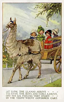 LA Govey. Riding in the llama cart