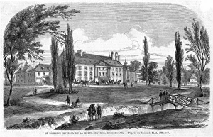 Motte Collection: LA Motte Beuvron
