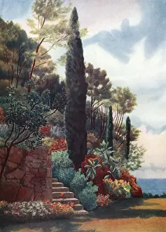 Villa Prints: La Serena, Cap Ferrat by Noel Sampson