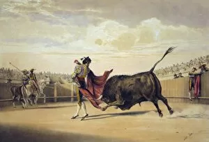 Bull Fight Gallery: La suerte de la capa