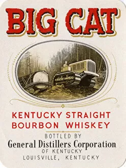 Caterpillar Collection: Label for Big Cat, Kentucky Straight Bourbon Whiskey