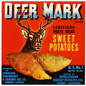 Images Dated 6th January 2017: Label design, Deer Mark Sweet Potatoes