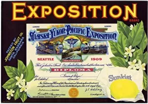 Images Dated 6th January 2017: Label design, Exposition Sunkist Lemons