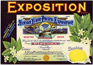 Images Dated 6th January 2017: Label design, Exposition Sunkist Lemons