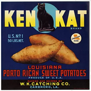 Images Dated 6th January 2017: Label design, Ken Kat Sweet Potatoes