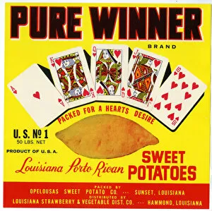 Hammond Collection: Label design, Pure Winner Sweet Potatoes