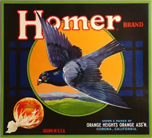 Heights Prints: Label, Homer Brand Sunkist oranges, California, USA