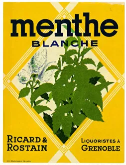 Images Dated 20th September 2018: Label, Menthe Blanche